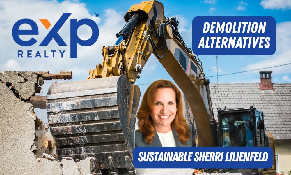 Demolition Alternatives