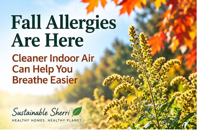 Fall ragweed and autumn leaves illustrating seasonal allergies and the benefits of cleaner indoor air.